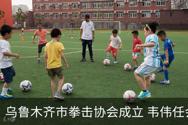 乌鲁木齐市拳击协会成立 韦伟任会长