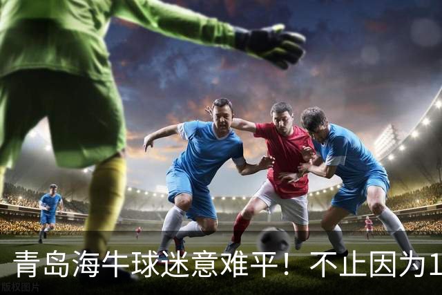 青岛海牛球迷意难平！不止因为1-5河南队，更多在于以下五点！